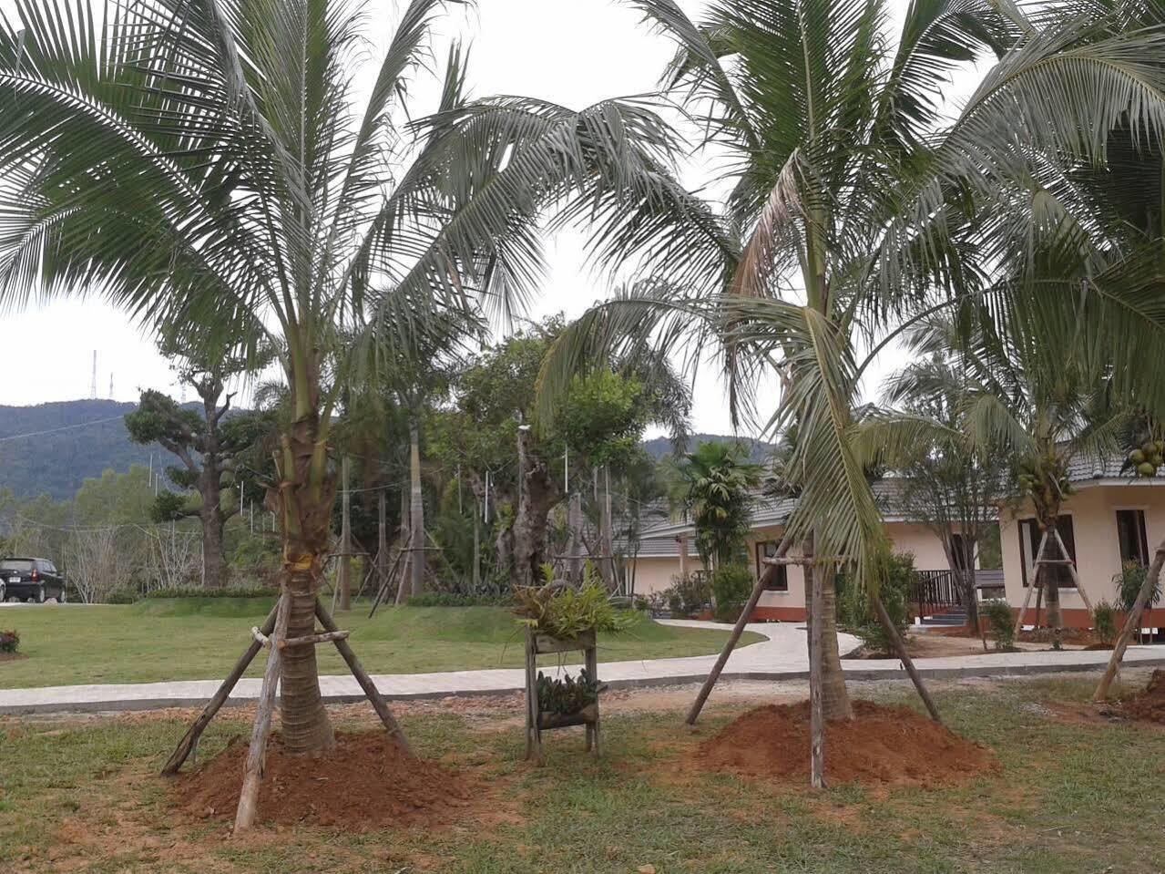Phutien Resort Chiang Rai Exterior foto